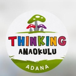 Thinking Anaoklulu