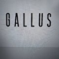 Gallus Tekstil LTD
