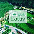 Park Lotus