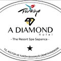A diamond the resort sapanca