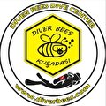 Diver Bees Dalış Merkezi Kuşadası