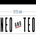 Neo&Teo