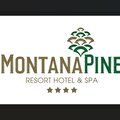 Montana Pine Resort Hotel & Spa