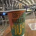 coffee nucleus