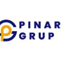 Pınar group