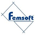 Femsoft