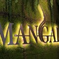 gold mangal