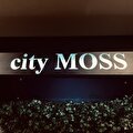 City Moss