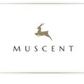Muscent boutique parfüm
