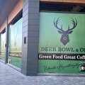 St.DEER Green Food Great Coffee