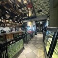 Raff lounge