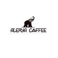 ALERYA İNTERNET HİZMETLERİ ELEKTRONİK TİCARET LİMİTED ŞİRKETİ