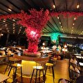 cafe belle bistro beach