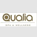 qualia