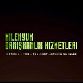 milenyum danismanlik