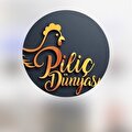 piliç dünyası