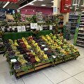 Market Beyhill