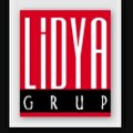 Lidya Bilişim Hizmetleri