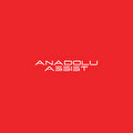ANADOLU ASSIST YARDIM VE DESTEK HİZMETLERİ DANIŞMANLIK ORGANİZASYON ANONİM ŞİRKETİ