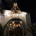 gua coffe