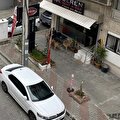 ÇEPİKLER GAYRİMENKUL