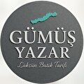 Gümüş Yazar Otel