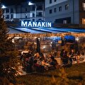 Manakin