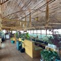 Botanik Cafe Ve Restaurant