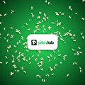 pilav lab