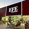 EFE AVM