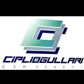 ciplioğulları cam