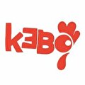 Kebo