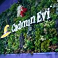 cadının evi