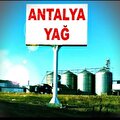 ANTALYA GIDA SAN. VE TİC. A.Ş.