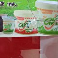 ANI SÜT