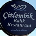 çitlembik balık resturant