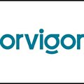 Orvigor Grop Gıda Sanayi ve Ticarrt Limited Şitketi