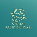 Special balık dünyası
