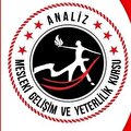 Analiz Eğitim Kurumları
