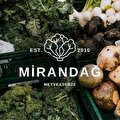 mirandağ