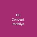 hg concept