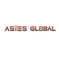 ASİES GLOBAL GAYRİMENKUL LTD ŞTİ