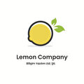 LEMON BİLİŞİM YAZILIM HİZMETLERİ