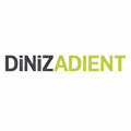 Diniz Adient Oto Donanım San. ve. Tic. A.Ş. / Diniz Holding
