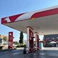 selim can oğulları Koll şti