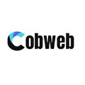 Cobweb dijital danışmanlık